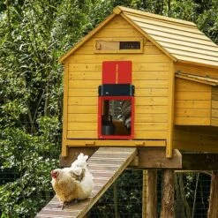 Porte De Poulailler Automatique, Ouvre-porte De Poulailler Avec Capteur De Lumière, Porte De Poulet Rechargeable, à Piles, élevage De Poulets En Toute Sécurité, Rouge 35 X 24 X 3,7 Cm 9 Porte De Poulailler Automatique, Ouvre-porte De Poulailler Avec Capteur De Lumière, Porte De Poulet Rechargeable, à Piles, élevage De Poulets En Toute Sécurité, Rouge 35 X 24 X 3,7 Cm -Trixie || Flamingo Soldes Magasin 81272057 5