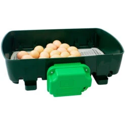 Couveuse Automatique 24 Oeufs - River ET 24 -Trixie || Flamingo Soldes Magasin 82714665 4