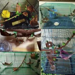 Hamster Petit Animal Jungle Suspendu Chaud Lit Maison Cage Nid Cage Accessoires Forêt Modèle Jouets Tunnel Suspendu Feuille Et Balançoire Pour Hamster Écureuil Sucre Planeur (5 Pièces) -Trixie || Flamingo Soldes Magasin 83699389 4
