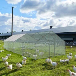 AUFUN Poulailler Extérieur Poulailler Toit Poulailler, Acier Galvanisé Petit Enclos Enclos Avec Protection Solaire Cage à Poules, 3 X 8 X 2 M 8 AUFUN Poulailler Extérieur Poulailler Toit Poulailler, Acier Galvanisé Petit Enclos Enclos Avec Protection Solaire Cage à Poules, 3 X 8 X 2 M -Trixie || Flamingo Soldes Magasin 83907141 4