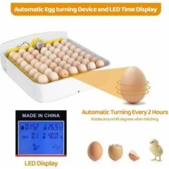 Couveuse Automatique De 55 Ufs, Incubateur D'oeufs Transparent Et Digital, Incubateur à Oeufs Avec Affichage LED De La Température Et Contrle De L'humidité, Pour Dinde/Oie/Oiseau/Caille/Poulet -Trixie || Flamingo Soldes Magasin 84162024 4