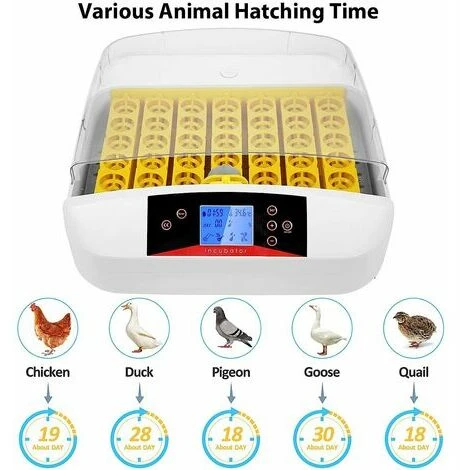 Incubateur Entièrement Automatique 55 œufs Couveuse Numérique Avec Rotation Automatique Des œufs Et Contrôle De La Température Et De L'humidité Pour Poules, Canards, Cailles, Oies, œufs à Poulet 2 Incubateur Entièrement Automatique 55 œufs Couveuse Numérique Avec Rotation Automatique Des œufs Et Contrôle De La Température Et De L'humidité Pour Poules, Canards, Cailles, Oies, œufs à Poulet – Image 2
