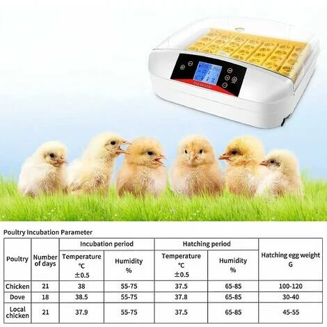 Incubateur Entièrement Automatique 55 œufs Couveuse Numérique Avec Rotation Automatique Des œufs Et Contrôle De La Température Et De L'humidité Pour Poules, Canards, Cailles, Oies, œufs à Poulet 5 Incubateur Entièrement Automatique 55 œufs Couveuse Numérique Avec Rotation Automatique Des œufs Et Contrôle De La Température Et De L'humidité Pour Poules, Canards, Cailles, Oies, œufs à Poulet – Image 5