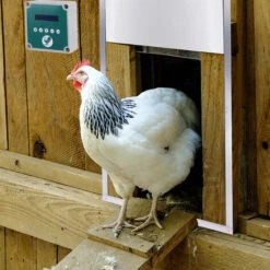 AUFUN Automatique De Poulailler- Porte à Poulet En Métal Robuste, La Porte Du Capteur De Lumière, Porte En Aluminium(30x30cm) 8 AUFUN Automatique De Poulailler- Porte à Poulet En Métal Robuste, La Porte Du Capteur De Lumière, Porte En Aluminium(30x30cm) -Trixie || Flamingo Soldes Magasin 85430885 4