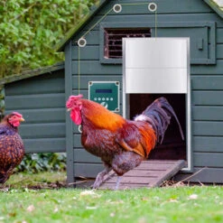 AUFUN Automatique De Poulailler- Porte à Poulet En Métal Robuste, La Porte Du Capteur De Lumière, Porte En Aluminium(30x30cm) 9 AUFUN Automatique De Poulailler- Porte à Poulet En Métal Robuste, La Porte Du Capteur De Lumière, Porte En Aluminium(30x30cm) -Trixie || Flamingo Soldes Magasin 85430885 5