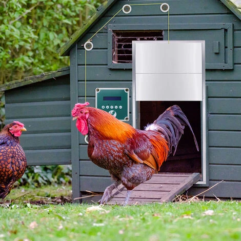 AUFUN Automatique De Poulailler- Porte à Poulet En Métal Robuste, La Porte Du Capteur De Lumière, Porte En Aluminium(30x30cm) 5 AUFUN Automatique De Poulailler- Porte à Poulet En Métal Robuste, La Porte Du Capteur De Lumière, Porte En Aluminium(30x30cm) – Image 5