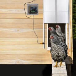 AUFUN Porte De Poulailler Automatique, 30W Porte De Poulailler En Aluminium, Résiste Aux Prédateurs, Pour Les Poulets/poules/oies（ 30 X 30cm） -Trixie || Flamingo Soldes Magasin 85430960 3