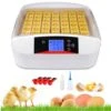 Couveuse Automatique 48 Oeufs Intelligent - Incubateur Pour L'éclosion De Poussins 80W - Contrôle Numérique De La Température - Jaune
