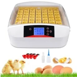 Couveuse Automatique 48 Oeufs Intelligent - Incubateur Pour L'éclosion De Poussins 80W - Contrôle Numérique De La Température - Jaune