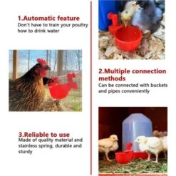 6pcs Automatiques Supplies Abreuvoir Poules Tasses à Bol Bol En Plastique, Volailles Distributeurs D'eau Automatique De L'eau Potable Tasses Pour Poussins Cailles Canards Bird -Trixie || Flamingo Soldes Magasin 86981371 3