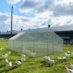 AUFUN Poulailler Extérieur Toit Du Poulailler, Acier Galvanisé Petit Poulailler Enclos Extérieur Avec Protection Solaire Cage à Poules, 3 X 6 X 2 M -Trixie || Flamingo Soldes Magasin 87110688 4