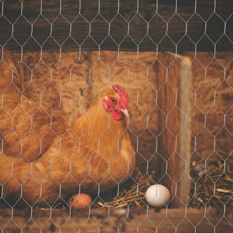 MINKUROW Filet De Fil De Poulet De 0.35×5 M Filet De Fil Hexagonal Galvanisé En Métal Grillage Léger Pour Les Projets D'artisanat Et Le Jardinage 4 MINKUROW Filet De Fil De Poulet De 0.35×5 M Filet De Fil Hexagonal Galvanisé En Métal Grillage Léger Pour Les Projets D'artisanat Et Le Jardinage – Image 4