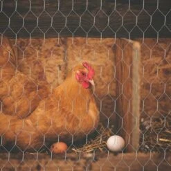 MINKUROW Filet De Fil De Poulet De 0.35×3 M Filet De Fil Hexagonal Galvanisé En Métal Grillage Léger Pour Les Projets D'artisanat Et Le Jardinage 8 MINKUROW Filet De Fil De Poulet De 0.35×3 M Filet De Fil Hexagonal Galvanisé En Métal Grillage Léger Pour Les Projets D'artisanat Et Le Jardinage -Trixie || Flamingo Soldes Magasin 87950773 4