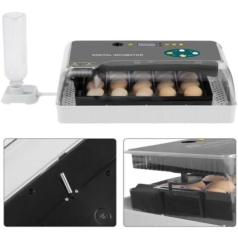 Couveuse Automatique 12 Oeufs, Incubateur Intelligent Numérique Pour Volaille - Contrôle De La Température - Lumière LED 2 Couveuse Automatique 12 Oeufs, Incubateur Intelligent Numérique Pour Volaille - Contrôle De La Température - Lumière LED – Image 2