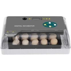 Couveuse Automatique 12 Oeufs, Incubateur Intelligent Numérique Pour Volaille - Contrôle De La Température - Lumière LED 7 Couveuse Automatique 12 Oeufs, Incubateur Intelligent Numérique Pour Volaille - Contrôle De La Température - Lumière LED -Trixie || Flamingo Soldes Magasin 87953205 3