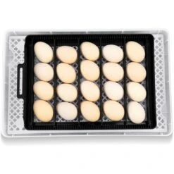 Couveuse Automatique 12 Oeufs, Incubateur Intelligent Numérique Pour Volaille - Contrôle De La Température - Lumière LED 8 Couveuse Automatique 12 Oeufs, Incubateur Intelligent Numérique Pour Volaille - Contrôle De La Température - Lumière LED -Trixie || Flamingo Soldes Magasin 87953205 4