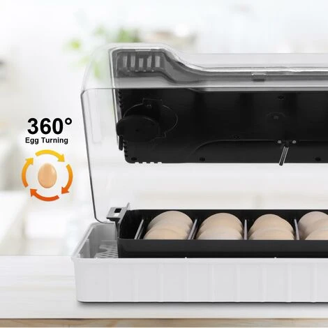Couveuse Automatique 12 Oeufs, Incubateur Intelligent Numérique Pour Volaille - Contrôle De La Température - Lumière LED 5 Couveuse Automatique 12 Oeufs, Incubateur Intelligent Numérique Pour Volaille - Contrôle De La Température - Lumière LED – Image 5