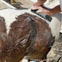 Neige-Brosse De Toilettage Pour Chevaux Brosse De Massage 6-en-1 En Crin De Cheval Massage De Toilettage Pour Chevaux,Pour Enlever Les Poils Secs Et Laches Des Chevaux Et Grands Chiens 8 Neige-Brosse De Toilettage Pour Chevaux Brosse De Massage 6-en-1 En Crin De Cheval Massage De Toilettage Pour Chevaux,Pour Enlever Les Poils Secs Et Laches Des Chevaux Et Grands Chiens -Trixie || Flamingo Soldes Magasin 90143577 4