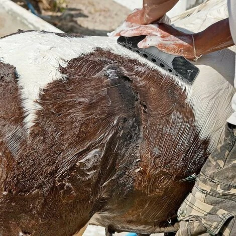 Neige-Brosse De Toilettage Pour Chevaux Brosse De Massage 6-en-1 En Crin De Cheval Massage De Toilettage Pour Chevaux,Pour Enlever Les Poils Secs Et Laches Des Chevaux Et Grands Chiens 4 Neige-Brosse De Toilettage Pour Chevaux Brosse De Massage 6-en-1 En Crin De Cheval Massage De Toilettage Pour Chevaux,Pour Enlever Les Poils Secs Et Laches Des Chevaux Et Grands Chiens – Image 4