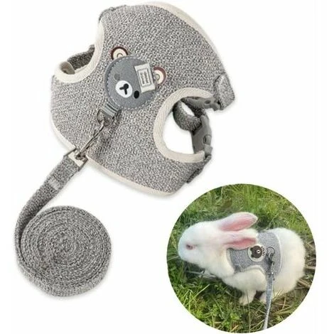 Laisse De Lapin Réglable, Laisse De Lapin Accessoires Pour Lapin Ensemble De Harnais Pour Chat Avec Laisse, Harnais Pour Animaux De Compagnie Et Laisse Pour La Marche Des Petits Animaux De Compagnie 1 Laisse De Lapin Réglable, Laisse De Lapin Accessoires Pour Lapin Ensemble De Harnais Pour Chat Avec Laisse, Harnais Pour Animaux De Compagnie Et Laisse Pour La Marche Des Petits Animaux De Compagnie