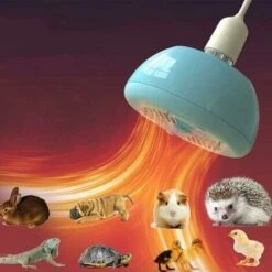 Réchauffeur Professionnel Pour Animaux De Compagnie, Réchauffeurs De Poulailler, Fonction De Puissance Et D'éclairage Réglables à 3 Modes, Lampe Chauffante à Couvaison(E27)