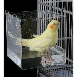 Baignoire D'Oiseau, Transparent Cube Oiseau Baignoire Boîte De Bain Douche Cage Pour Petit Oiseau Perroquet Myna Moineaux