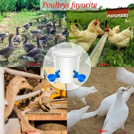 12 Pièces Abreuvoir Poules, Abreuvoir Automatique, Avec Perforation Outils, Convient Aux Poulets, Canards Et Autres Volailles De Basse-Cour 2 12 Pièces Abreuvoir Poules, Abreuvoir Automatique, Avec Perforation Outils, Convient Aux Poulets, Canards Et Autres Volailles De Basse-Cour – Image 2