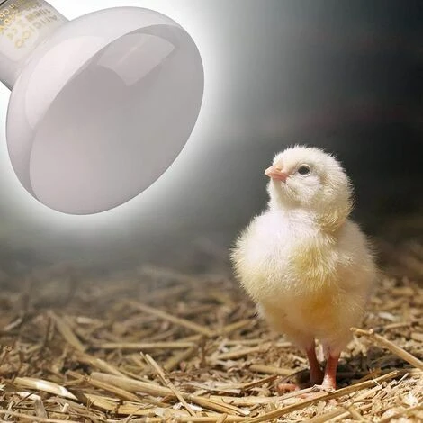 2 Ampoules Infrarouges - Lampe Chauffante Rouge Pour Animaux De Compagnie Pour Reptiles Et Amphibiens, 100 W, Blanc 2 2 Ampoules Infrarouges - Lampe Chauffante Rouge Pour Animaux De Compagnie Pour Reptiles Et Amphibiens, 100 W, Blanc – Image 2