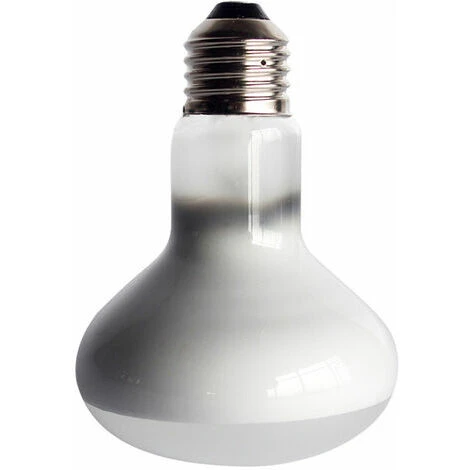 2 Ampoules Infrarouges - Lampe Chauffante Rouge Pour Animaux De Compagnie Pour Reptiles Et Amphibiens, 100 W, Blanc 3 2 Ampoules Infrarouges - Lampe Chauffante Rouge Pour Animaux De Compagnie Pour Reptiles Et Amphibiens, 100 W, Blanc – Image 3