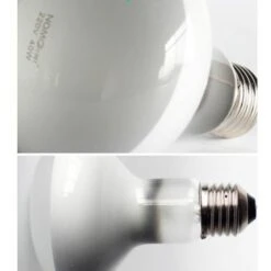 2 Ampoules Infrarouges - Lampe Chauffante Rouge Pour Animaux De Compagnie Pour Reptiles Et Amphibiens, 100 W, Blanc 8 2 Ampoules Infrarouges - Lampe Chauffante Rouge Pour Animaux De Compagnie Pour Reptiles Et Amphibiens, 100 W, Blanc -Trixie || Flamingo Soldes Magasin 92360431 4