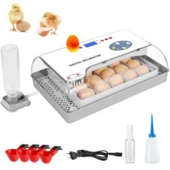 Couveuse Automatique 12 Oeufs Avec Mirage De LED Pour L'observation Des Oeufs - Incubateur Intelligent Numérique Pour Volaille - Contrôle De La Température - Blanc