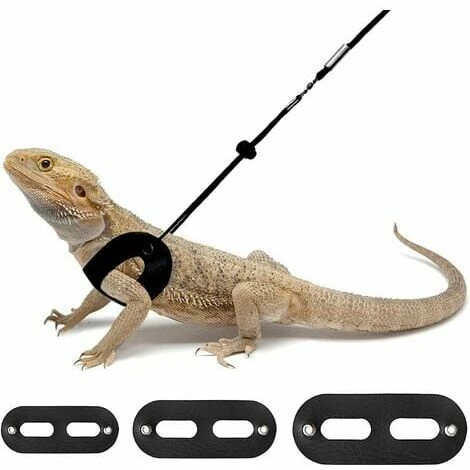 3 Pièces Harnais Et Laisse De Dragon Barbu Réglable (S, M, L) Laisse De Reptile En Cuir Souple 1 3 Pièces Harnais Et Laisse De Dragon Barbu Réglable (S, M, L) Laisse De Reptile En Cuir Souple