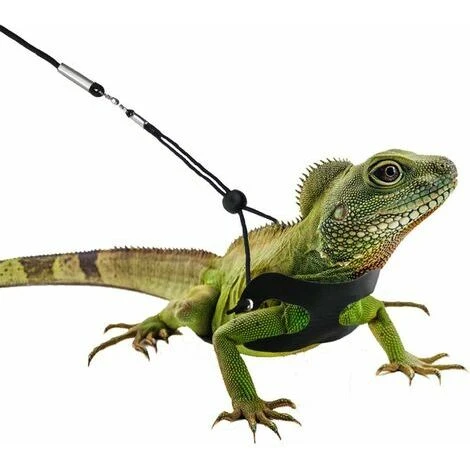 3 Pièces Harnais Et Laisse De Dragon Barbu Réglable (S, M, L) Laisse De Reptile En Cuir Souple 4 3 Pièces Harnais Et Laisse De Dragon Barbu Réglable (S, M, L) Laisse De Reptile En Cuir Souple – Image 4