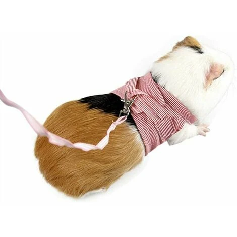 Harnais Pour Petit Animal De Compagnie Laisse De Cochon D'inde Sangle De Poitrine De Marche Pour Petit Animal (rouge)S 2 Harnais Pour Petit Animal De Compagnie Laisse De Cochon D'inde Sangle De Poitrine De Marche Pour Petit Animal (rouge)S – Image 2