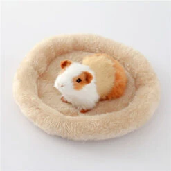 Lit Rond En Peluche Doux Pour Animaux De Compagnie Nid Pour Animaux De Compagnie Lit Pour Chat Lit Pour Hamster Maison Douce Pour Hamster Hérisson Lapin Chats Petits Chiens -Trixie || Flamingo Soldes Magasin 93424593 3