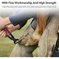 Cisailles Fer à Cheval, Grandes Limes à Dalles, équipement D'écurie - 3 Pièces/ensemble -Trixie || Flamingo Soldes Magasin 93698976 3