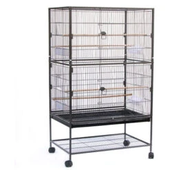 Grande Sur Pied Volière Canaries, Cage à Oiseaux Volière Amovible, Cage Sur Roulettes Pour Canaries Perroquet Perruches Et Support De Rangement, Noir 78 X 52 X 132 Cm