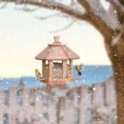 Nova Oiseaux Pour Oiseaux Suspended Brown Outdoor Oiseaux 7 Nova Oiseaux Pour Oiseaux Suspended Brown Outdoor Oiseaux -Trixie || Flamingo Soldes Magasin 94028813 3