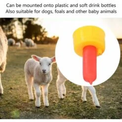 10 Pièces Mangeoire D'allaitement Pour Moutons Mamelon Agneau Tétine Mangeoire Bouteille Mouton Alimentation Et équipement D'abreuvement Fournitures Agricoles -Trixie || Flamingo Soldes Magasin 95486170 3