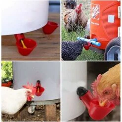 Abreuvoir Et Mangeoire Pour Basse-cour Et Poulailler 5pcs Volaille Automatique Abreuvoir Portable Distributeur D'eau Tasse Bol D‘Eau En Plastique Buveur D'eau Pour Oiseau Caille Pigeon Poulet Poule(25 8 Abreuvoir Et Mangeoire Pour Basse-cour Et Poulailler 5pcs Volaille Automatique Abreuvoir Portable Distributeur D'eau Tasse Bol D‘Eau En Plastique Buveur D'eau Pour Oiseau Caille Pigeon Poulet Poule(25 -Trixie || Flamingo Soldes Magasin 96337575 4