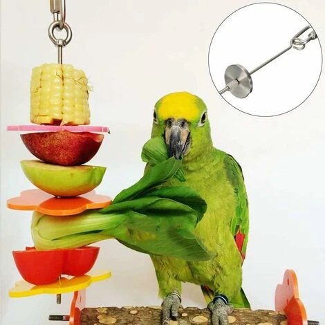 Accessoires Pour Cage Oiseau Outil De Fruit De Perroquet Brochette Perroquet En Acier Inoxydable Porte-Fruits Oiseaux En Acier Inoxydable Porte-Fruits Et Légumes Pour Oiseaux Brochette De Porte-Légume 2 Accessoires Pour Cage Oiseau Outil De Fruit De Perroquet Brochette Perroquet En Acier Inoxydable Porte-Fruits Oiseaux En Acier Inoxydable Porte-Fruits Et Légumes Pour Oiseaux Brochette De Porte-Légume – Image 2