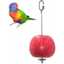 Accessoires Pour Cage Oiseau Outil De Fruit De Perroquet Brochette Perroquet En Acier Inoxydable Porte-Fruits Oiseaux En Acier Inoxydable Porte-Fruits Et Légumes Pour Oiseaux Brochette De Porte-Légume 7 Accessoires Pour Cage Oiseau Outil De Fruit De Perroquet Brochette Perroquet En Acier Inoxydable Porte-Fruits Oiseaux En Acier Inoxydable Porte-Fruits Et Légumes Pour Oiseaux Brochette De Porte-Légume -Trixie || Flamingo Soldes Magasin 96341502 3