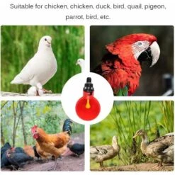 10 Coupes Automatiques Dabreuvoir De Poulet,mangeoire Dabreuvoir Automatique Doiseau De Poule De Poulet-équipement Dalimentation Dabreuvoir De Volaille Pour La Poule De Poulet Doiseau -Trixie || Flamingo Soldes Magasin 97197389 4