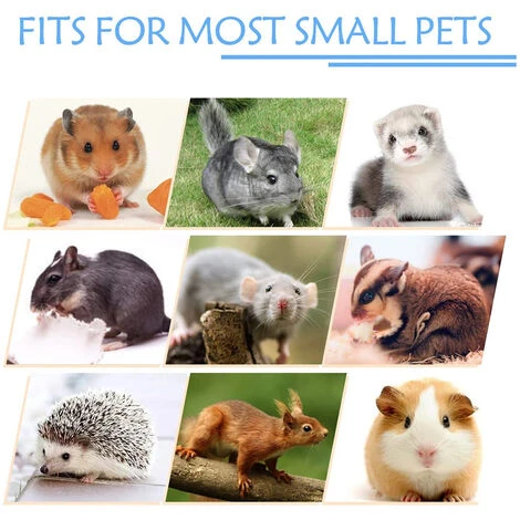 Petit Animal De Compagnie Cage Hamac Cochon D'Inde Lit Suspendu Hamac Doux Chaud Petit Animaux Maison 4 Petit Animal De Compagnie Cage Hamac Cochon D'Inde Lit Suspendu Hamac Doux Chaud Petit Animaux Maison – Image 4