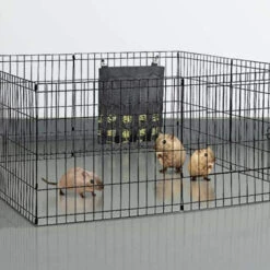 Cochon D'Inde Lapin Sac D'Alimentation En Foin Pour Petit Animal Sac D'Alimentation En Foin Pour Animaux De Compagnie Sac D'Alimentation Suspendu Pour Petits Animaux Dispositif D'Alimentation Pour Chi 8 Cochon D'Inde Lapin Sac D'Alimentation En Foin Pour Petit Animal Sac D'Alimentation En Foin Pour Animaux De Compagnie Sac D'Alimentation Suspendu Pour Petits Animaux Dispositif D'Alimentation Pour Chi -Trixie || Flamingo Soldes Magasin 97548029 4