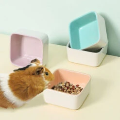 Bol De Nourriture Pour Hamster Couleur Bonbon En Céramique Petit Bol Anti-morsure Anti-tournant Hérisson Lapin Bol Pour Animaux De Compagnie 9 Bol De Nourriture Pour Hamster Couleur Bonbon En Céramique Petit Bol Anti-morsure Anti-tournant Hérisson Lapin Bol Pour Animaux De Compagnie -Trixie || Flamingo Soldes Magasin 97567028 5