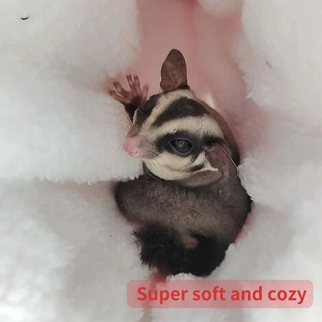 Accessoires De Cage De Cochon D'Inde Literie, Hamac Chaud Pour Perroquet Furet écureuil Hamster Rat Jouer Sommeil 4 Accessoires De Cage De Cochon D'Inde Literie, Hamac Chaud Pour Perroquet Furet écureuil Hamster Rat Jouer Sommeil – Image 4