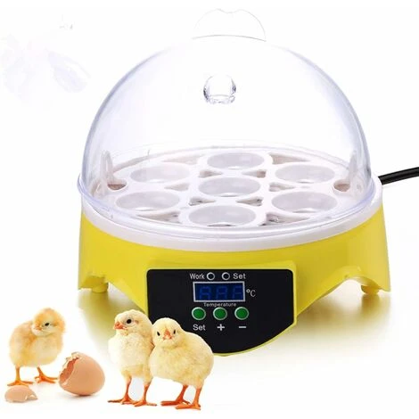 Incubateur D'œufs, 7 Incubateurs D'œufs Numériques, Mini Incubateur D'œufs Pour Poulet, Canard, Oie 2 Incubateur D'œufs, 7 Incubateurs D'œufs Numériques, Mini Incubateur D'œufs Pour Poulet, Canard, Oie – Image 2