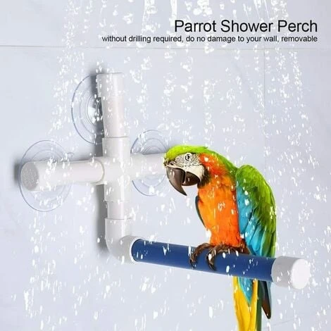 Perchoir Perroquet, Jouet Perroquet Perchoir A Douche Tuyau En Plastique Avec Ventouse De Fixer Perchoir De Bain Pour Macaw Cockatoo Africain Greys Budgies Parakeet 2 Perchoir Perroquet, Jouet Perroquet Perchoir A Douche Tuyau En Plastique Avec Ventouse De Fixer Perchoir De Bain Pour Macaw Cockatoo Africain Greys Budgies Parakeet – Image 2
