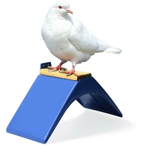 Pigeon Rest Stand Pigeon Perchoirs Cadre Grill Logement Perchoir Durable En Plastique Oiseaux Fournitures Bleu 2 Pigeon Rest Stand Pigeon Perchoirs Cadre Grill Logement Perchoir Durable En Plastique Oiseaux Fournitures Bleu – Image 2